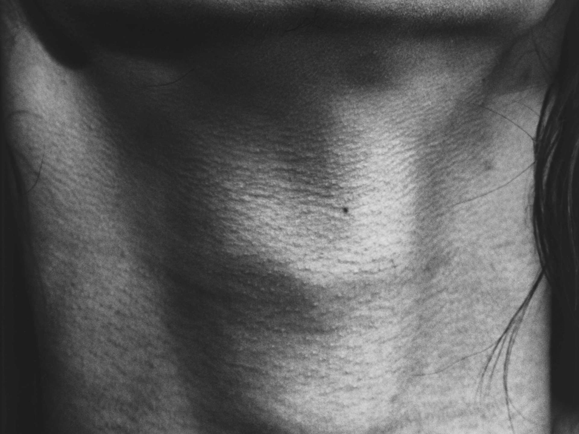 4 Sam Contis Untitled Neck 20151