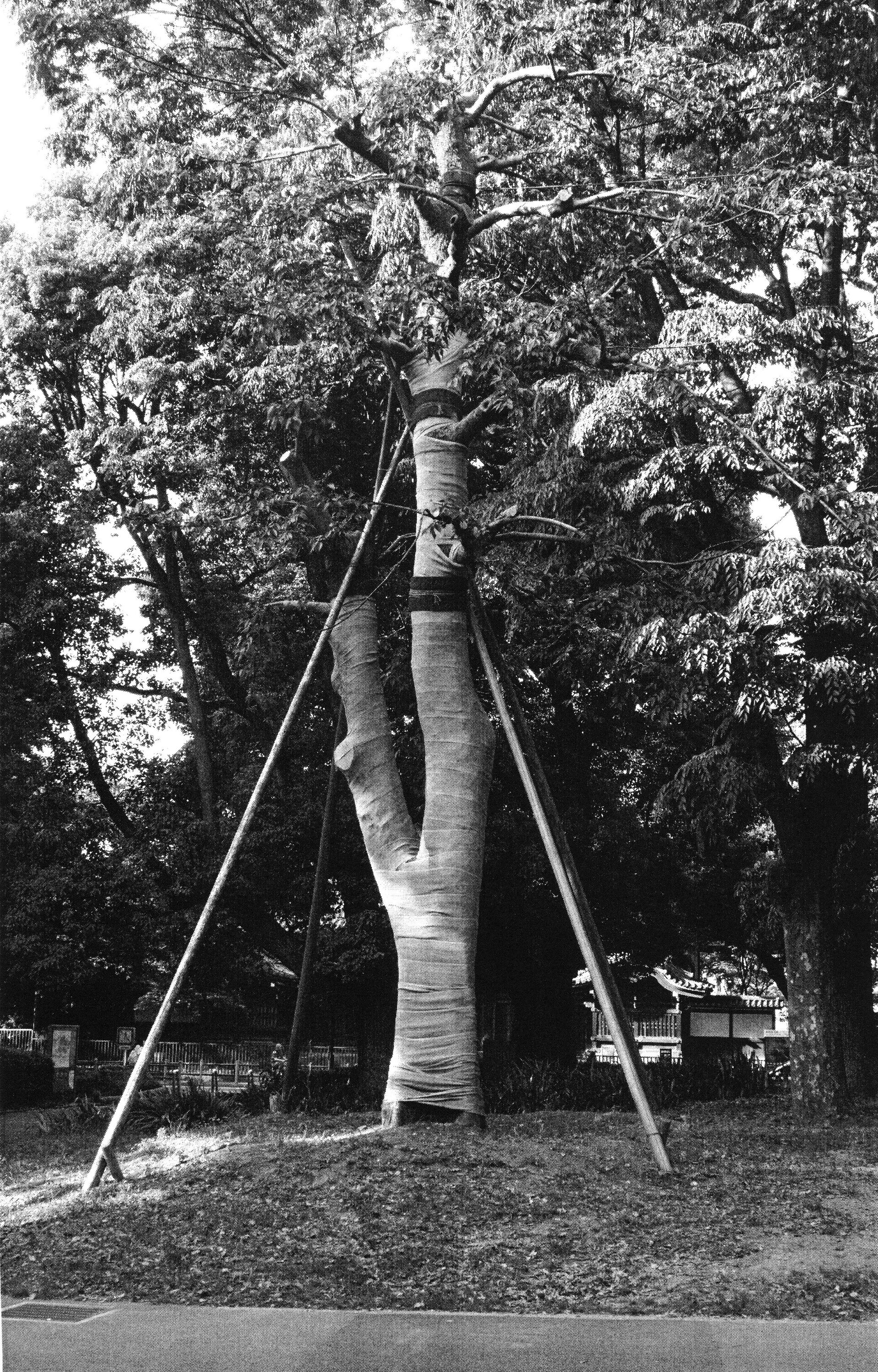 STUKE CITIES CHANGE THE SONGS OF BIRDS TOKYO UENO 2019