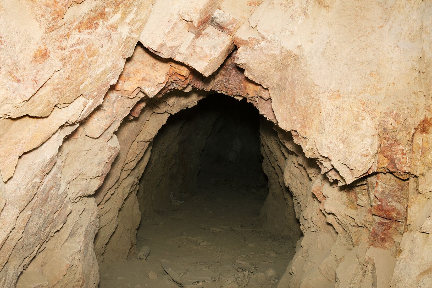 No 6 LB 2016 GOLD PERU 8611 TRIGGER