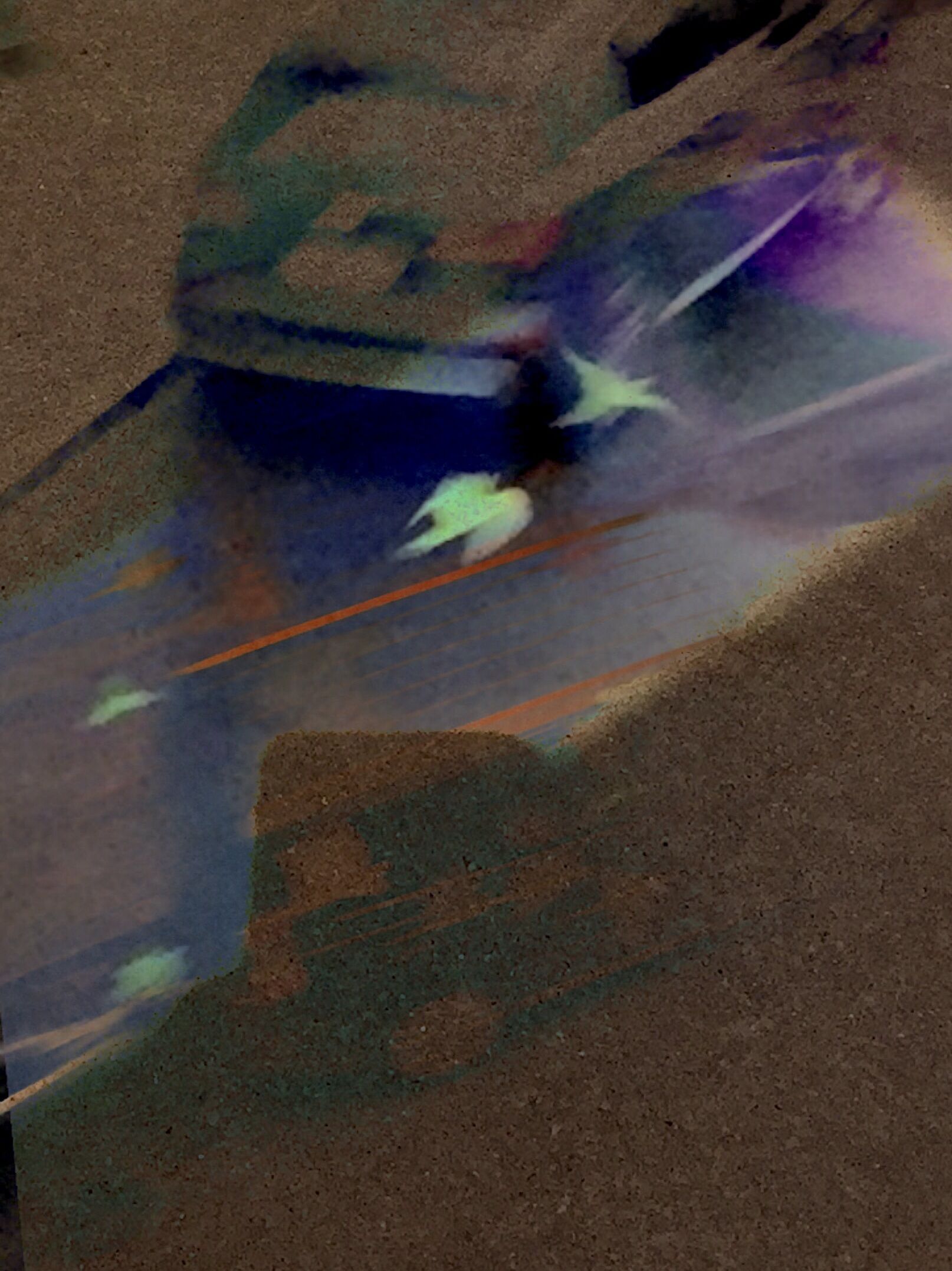 Leopards in June 2020