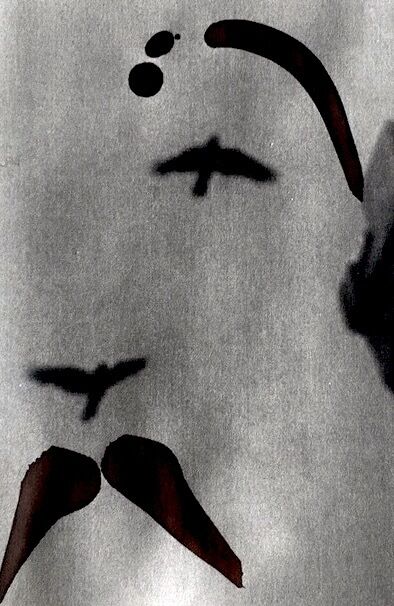 Dashing before May 2020