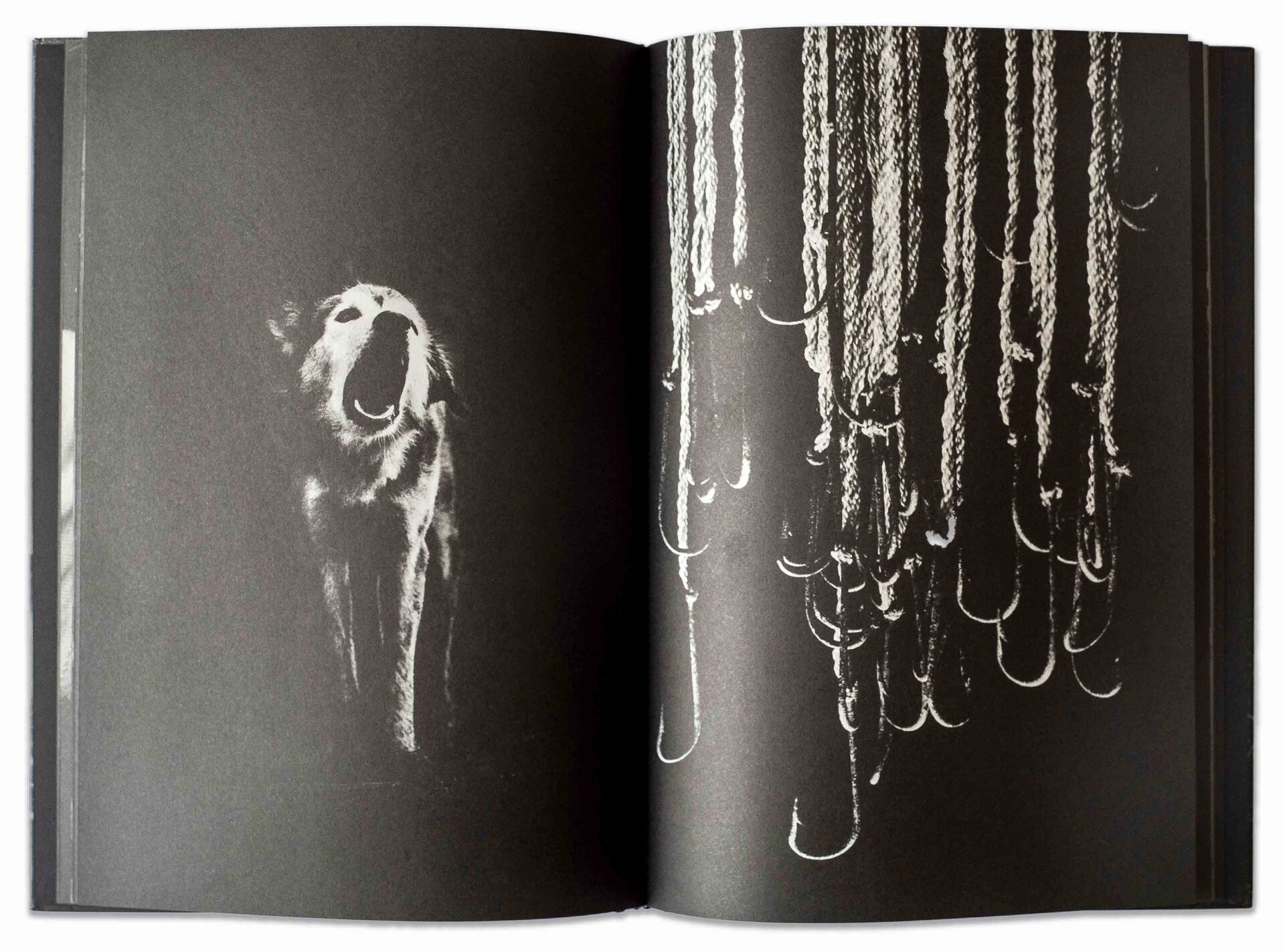 Costa_01 dulceysalada