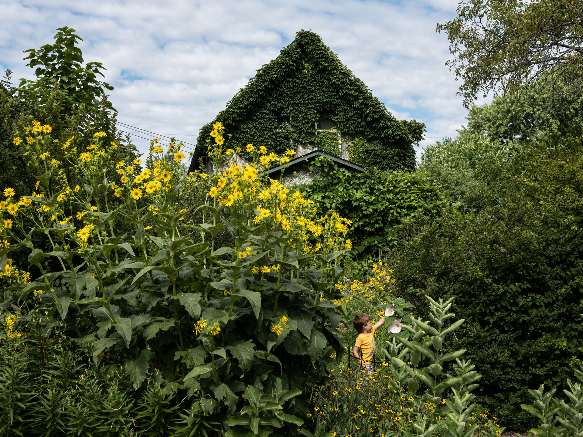 548020200804 Fairy House Edit F