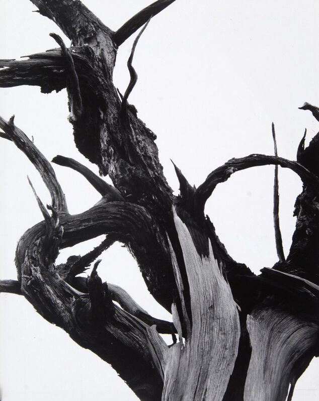 RS6078 P 1978 0147 0007 Adams Ansel scr