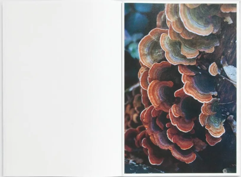 Fungi