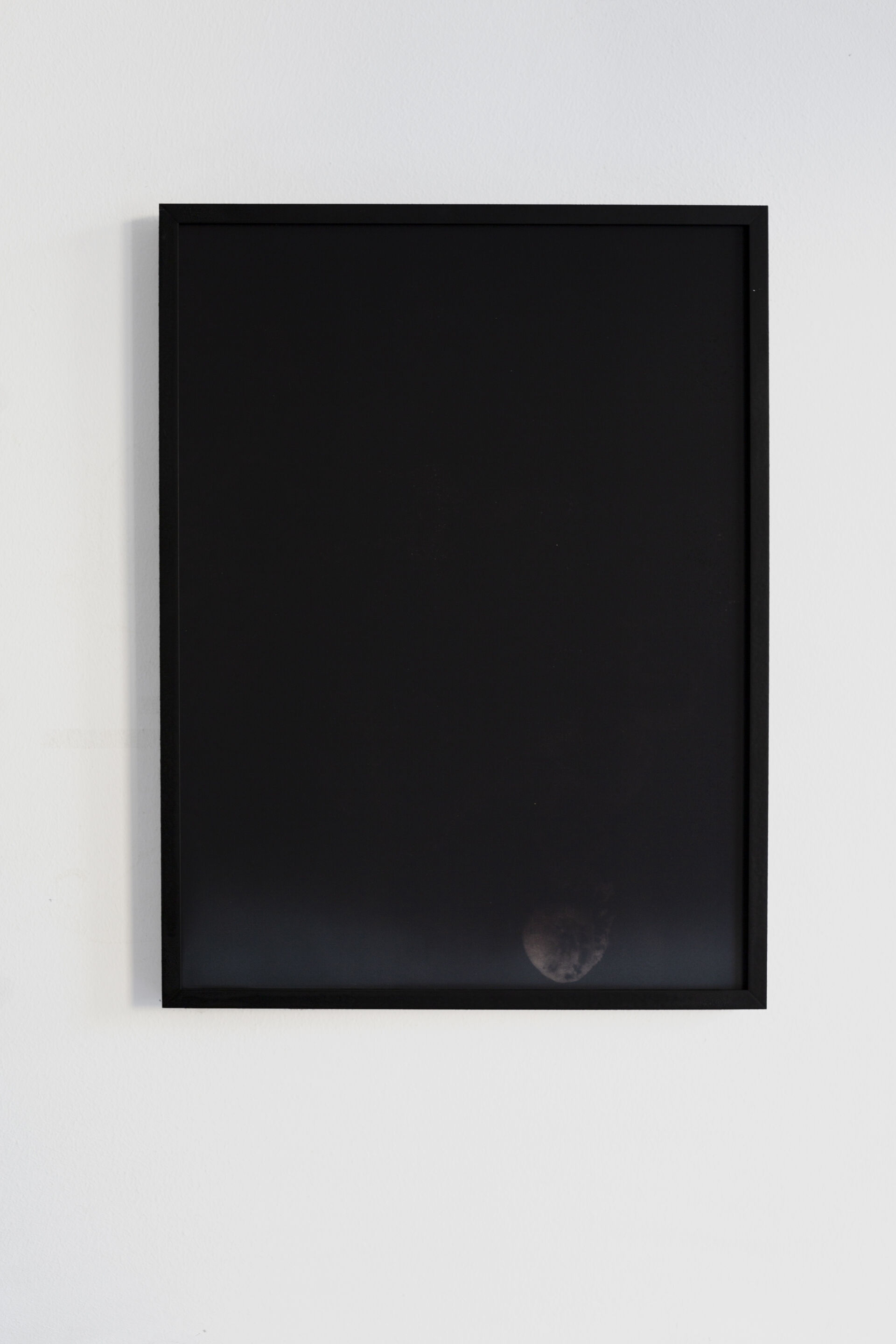 FUNGI B004 Dries Segers 2019 30x40cm Black thermochromic on archival inkjetprint frame in wooden metal frame mdf unique 1