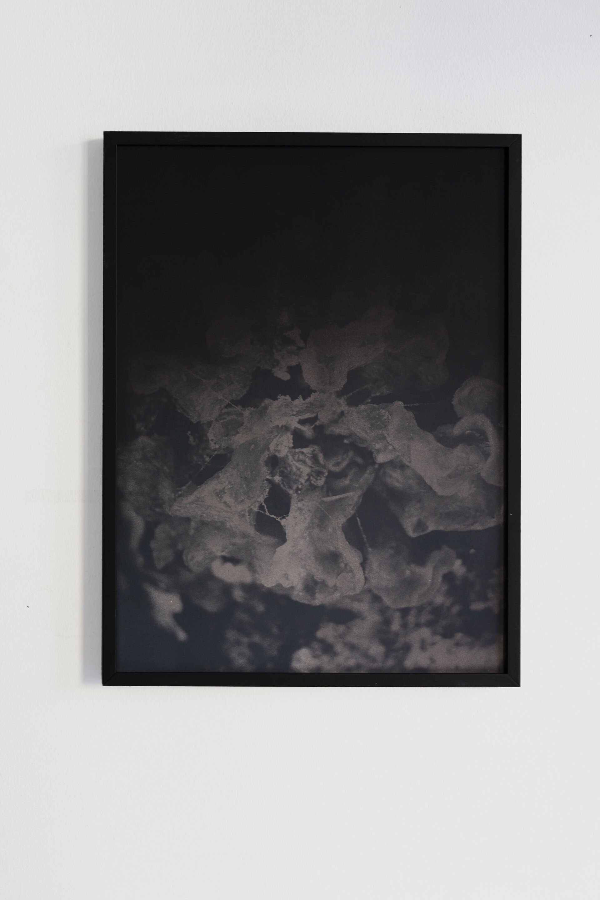 FUNGI B005 Dries Segers 2019 30x40cm Black thermochromic on archival inkjetprint frame in wooden metal frame mdf unique26 2
