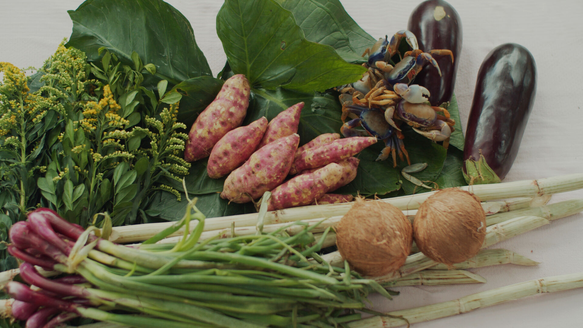 Olhoda Rua Out Loud Jd A 2022 4