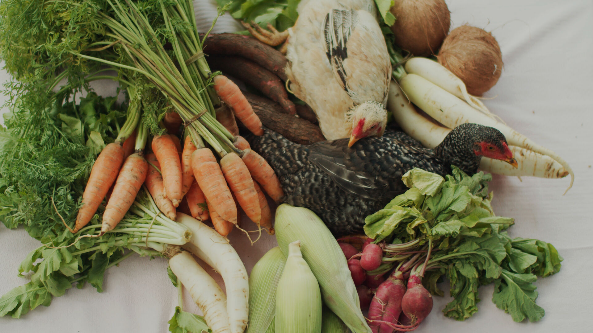 Olhoda Rua Out Loud Jd A 2022 6