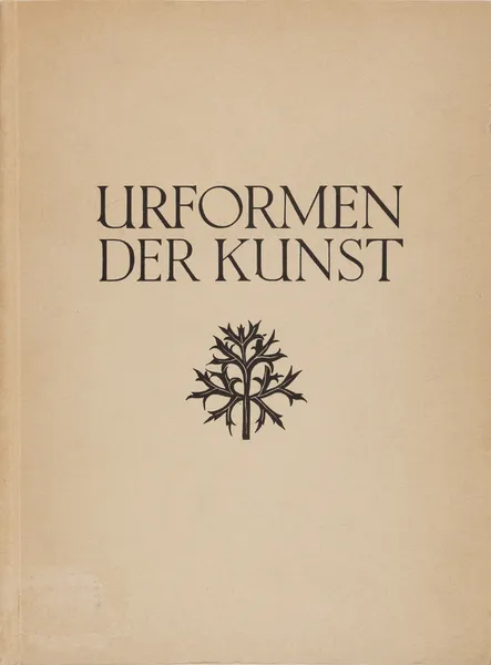 Blossfeldt