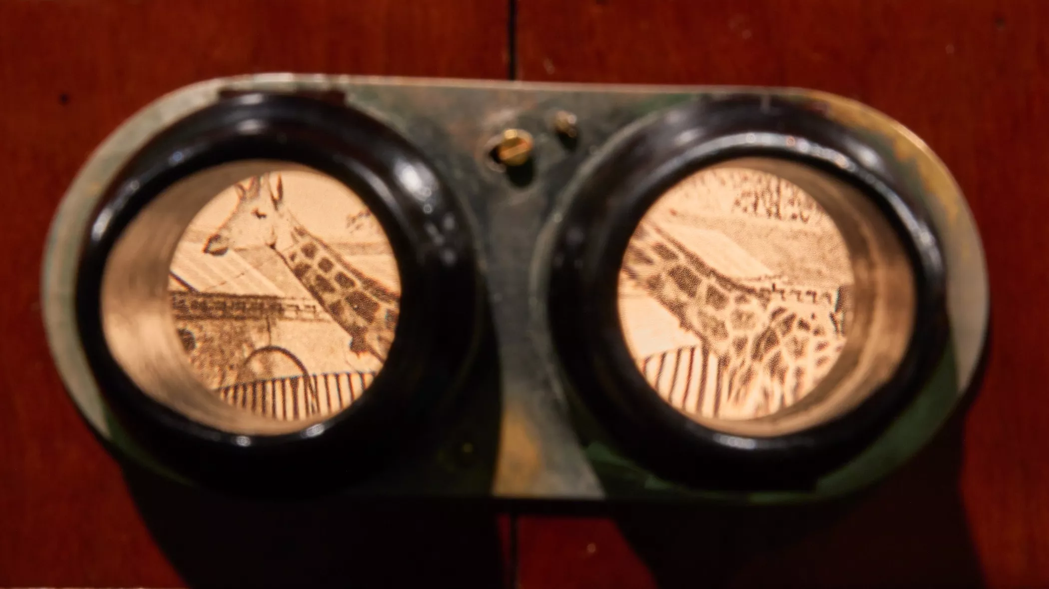 KP detail We Document Art