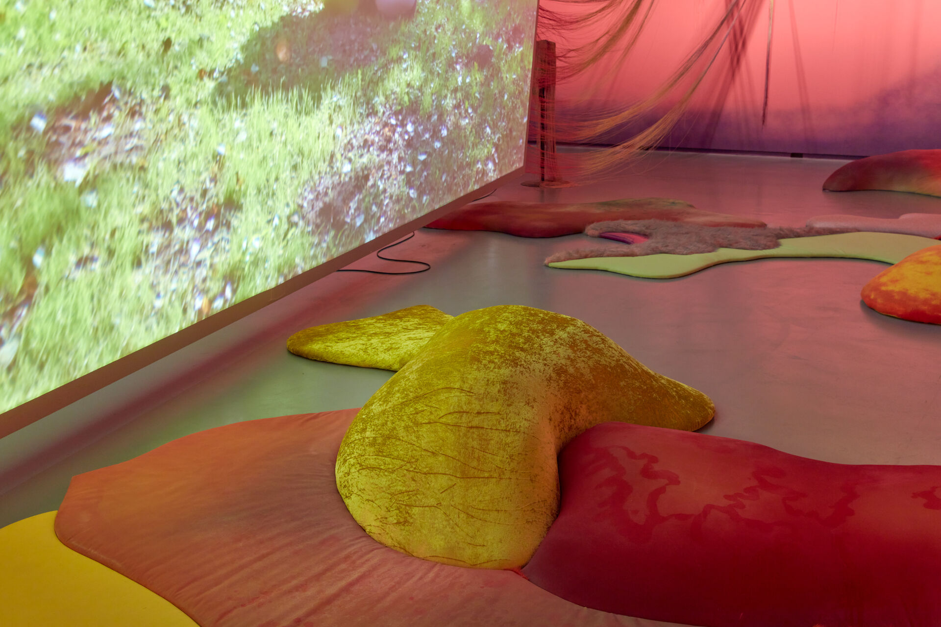 20230220 FOMU1271 web