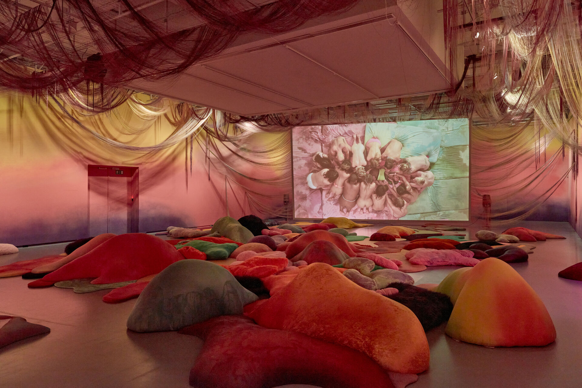 20230220 FOMU1224 web