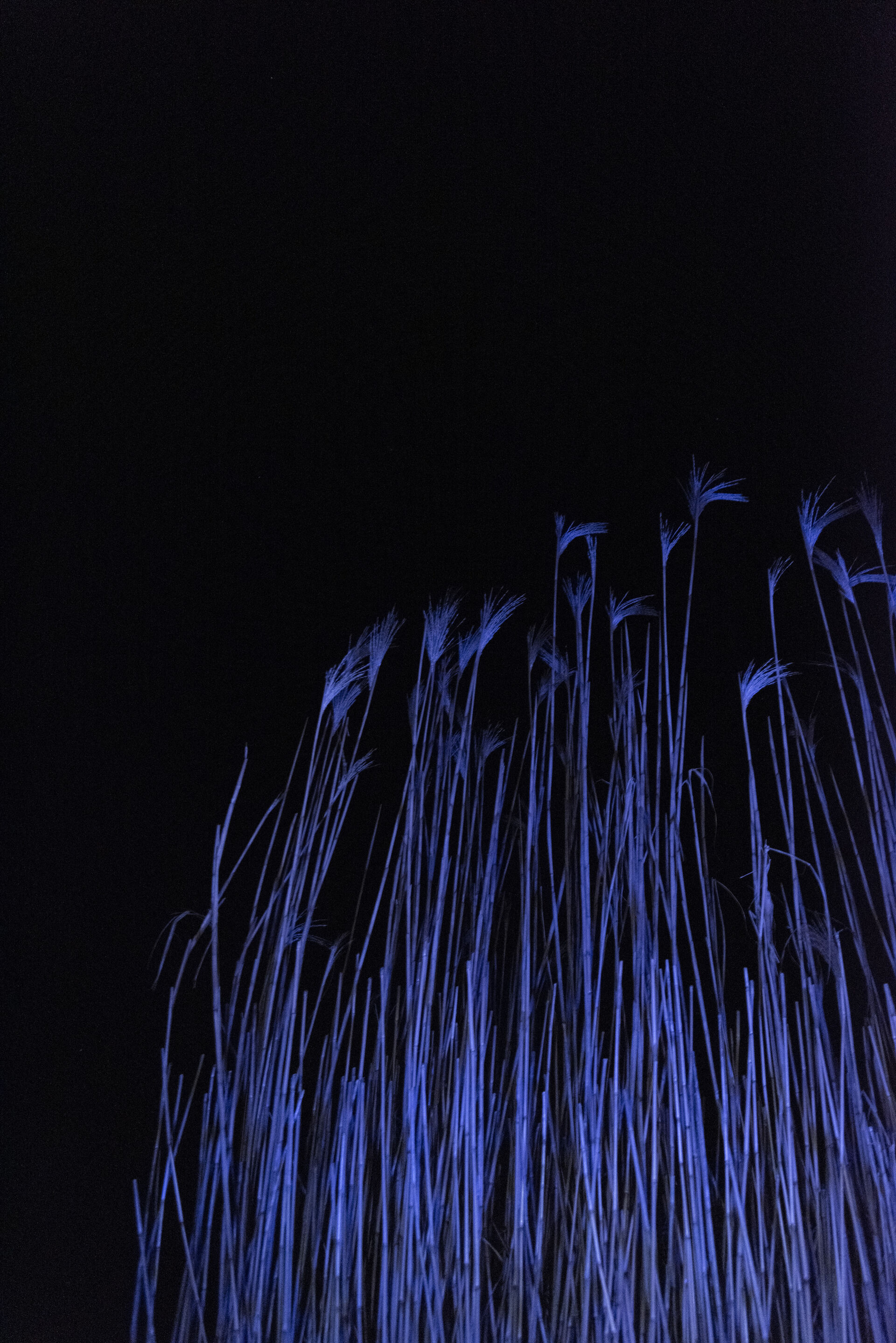 Michelle Piergoelam CHAPTERTWO BOOK 20