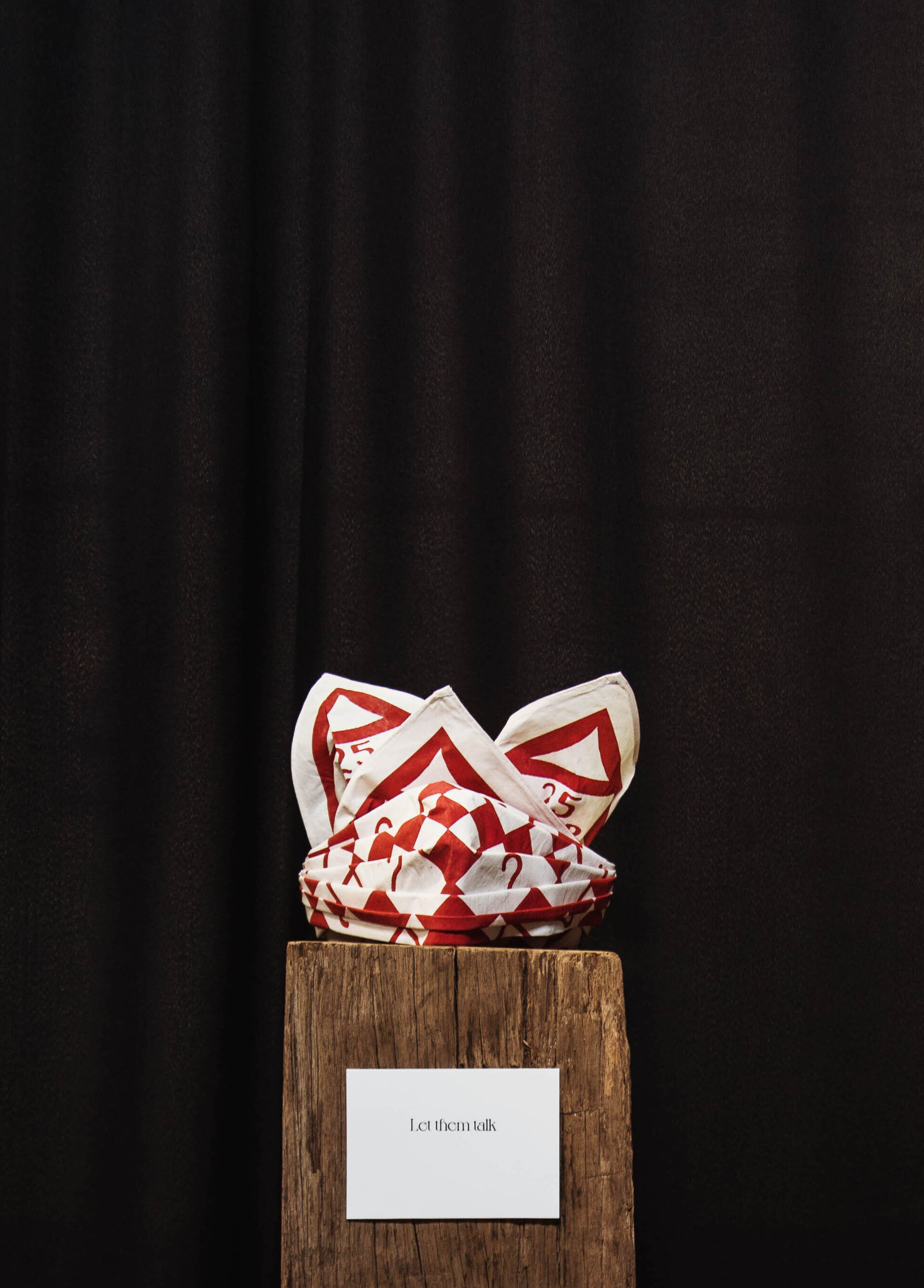 Michelle Piergoelam EXPO MINO 16