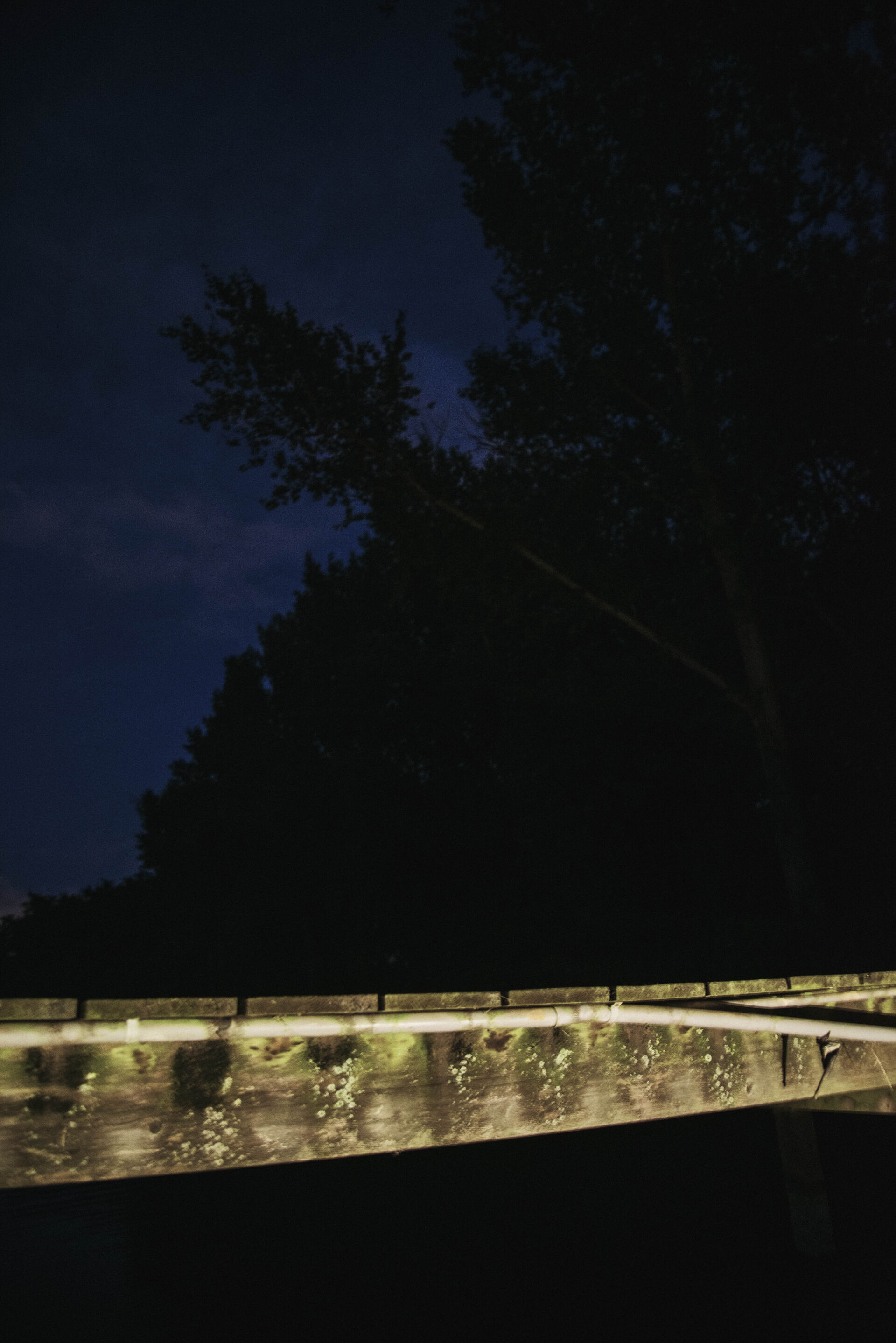 Michelle Piergoelam Songs in a strange land03